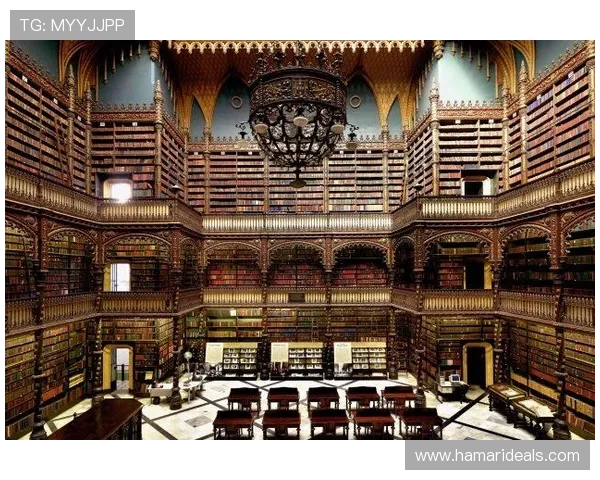 尊龙z6线上开户成功后可以享受哪些专属优惠和福利